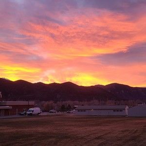 Meet your Posher, Max